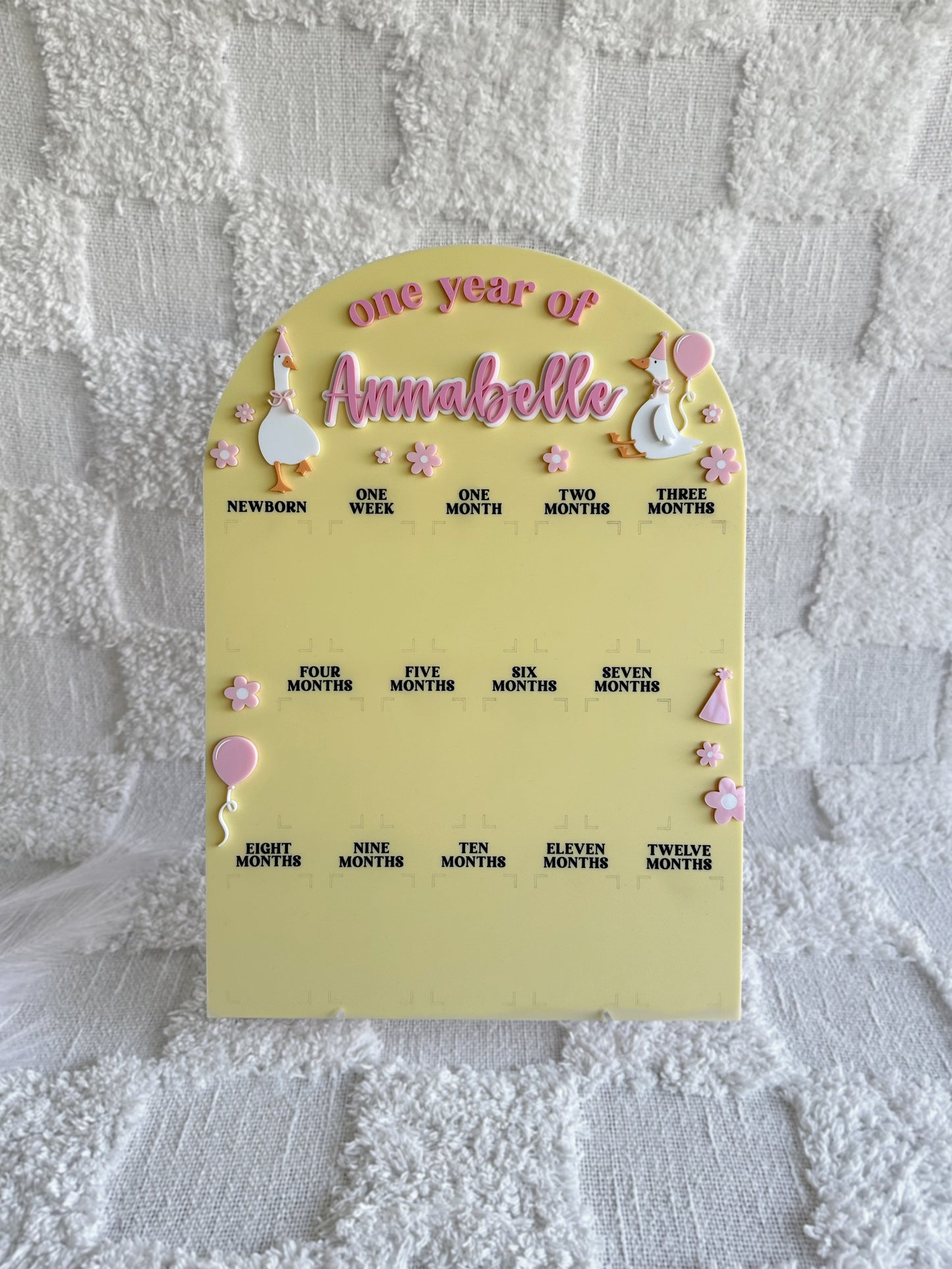 SILLY GOOSE Personalised 'One Year Of' Photo Milestone Board