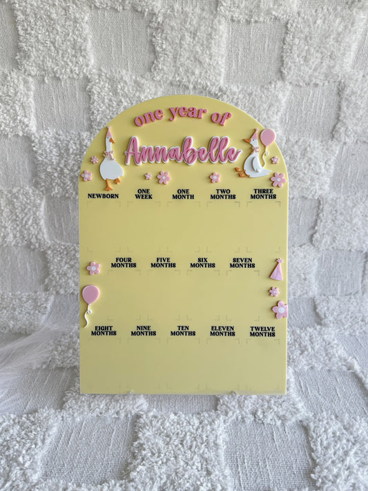 SILLY GOOSE Personalised 'One Year Of' Photo Milestone Board