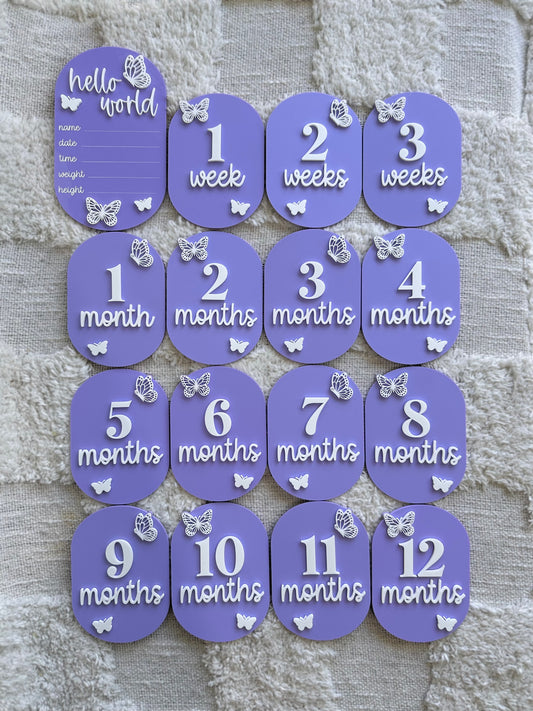 Butterfly Personalised Acrylic Baby's First Year Milestone Plaque Set