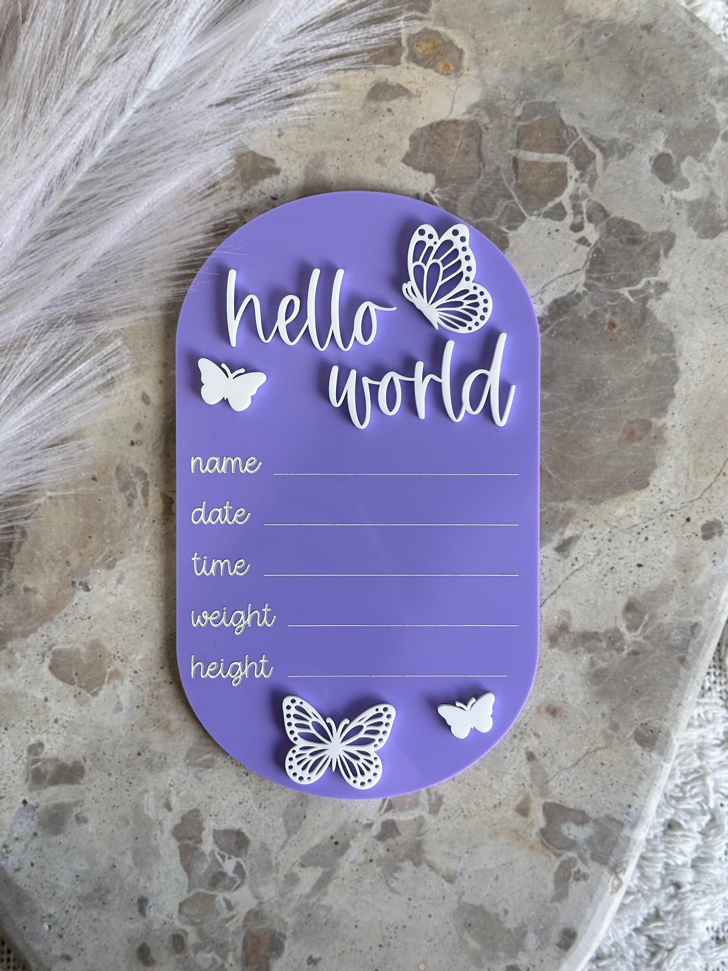Butterfly Personalised Acrylic Baby's First Year Milestone Plaque Set