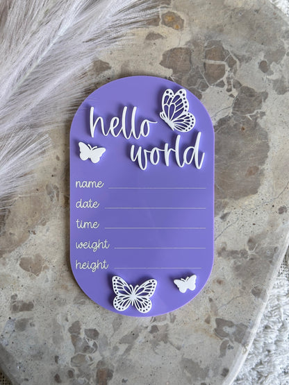 Butterfly Personalised Acrylic Baby's First Year Milestone Plaque Set