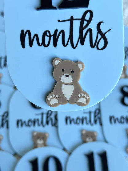 Bear Personalised Acrylic Baby's First Year Milestone Plaque Set
