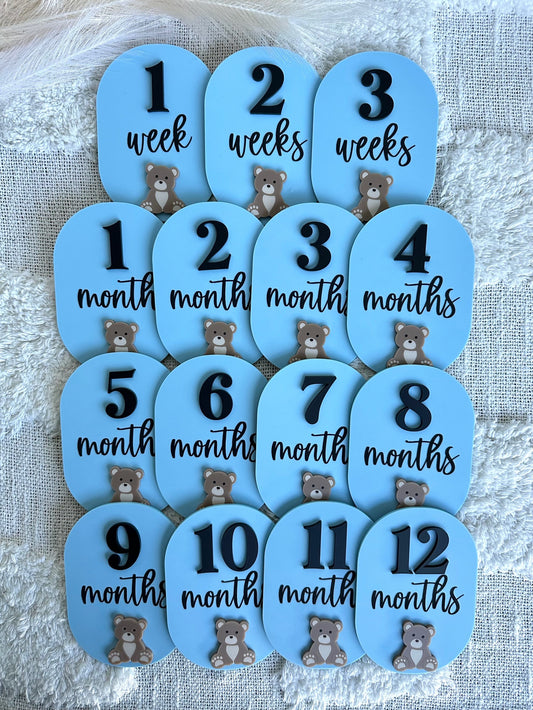 Bear Personalised Acrylic Baby's First Year Milestone Plaque Set